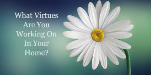 Virtues and character traits in the home
