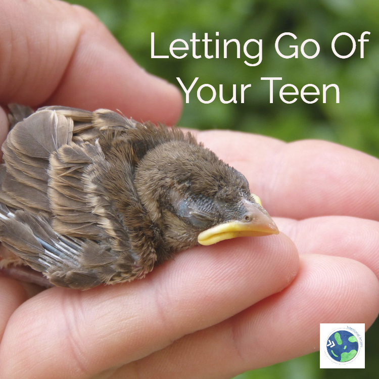 letting go of your teen